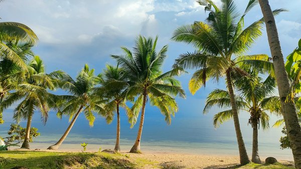 Évasions Enchantées : Expériences Inoubliables dans des Lodges Historiques